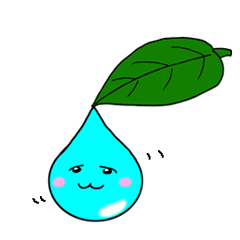 Drip from a leaf Shizuku chan