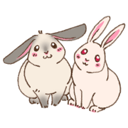Fern & Pace