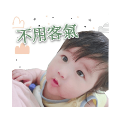 蜜糖小橘子日常