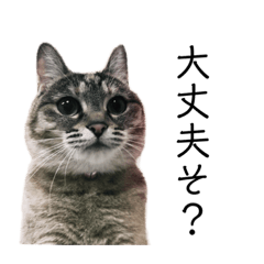 nanami_20201113192107