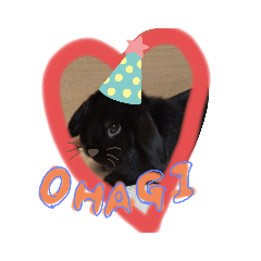 saori_20201113201052