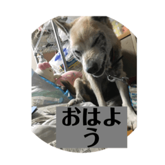 hANA_20201113215728