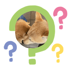 SEIRA_20201113222406