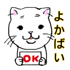 the cat speaks dialect in Nagasaki