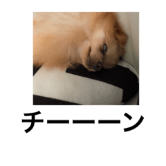 chie_20201113202351