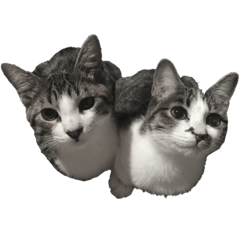 suiyou_20201113204359