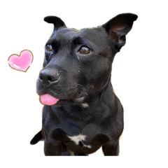 michiko_20201113234110