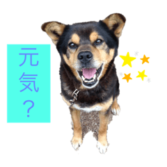 ASUKa_20201114091835