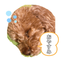 MIZUKI_20201114001542