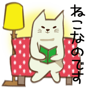 Warmly cat Warmly cat