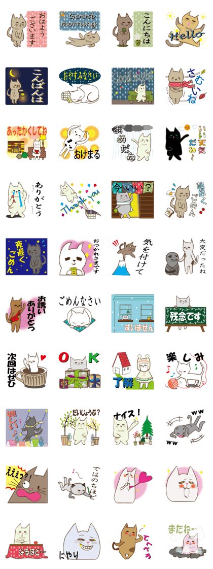 Warmly cat Warmly cat