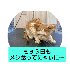 kanae_20201114122648