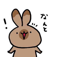 moka rabbit