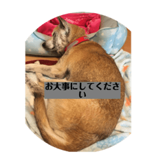 hANA_20201114133339