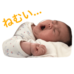 mimi_20201114140138