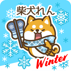 Shiba Ren in Winter