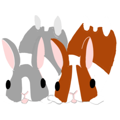Rabbit Collections