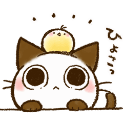 Lineスタンプ アニメーションスタンプ2作同時リリース イラストレーター タカオエリ イラスト制作 大阪 かわいい 癒やし 猫 こども 家族 ファミリー 動物 児童書 参考書 絵本 挿絵 Hoccori イラストレーター タカオエリ Websaite