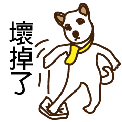 日本的冷漠白色狗狗