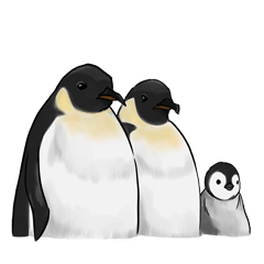 serious penguin