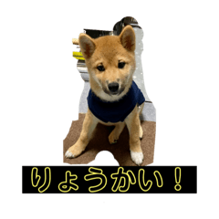 ASUKa_20201114221034