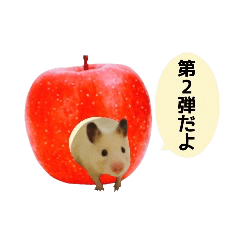 Hamster Kinako2