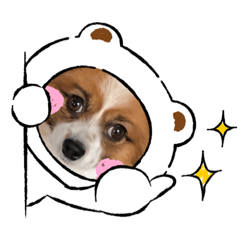 RINGO_20201114225712