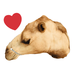 kichi's Family Stamp