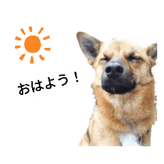 いぬ Lineクリエイターズスタンプまとめ Stamplist Part 12 いぬ Lineクリエイターズスタンプまとめ Stamplist Part 12