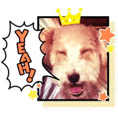 Hi!我是惡魔跳跳