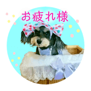 cocomaruru_20201115142325