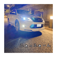 Matsu_20201114183602