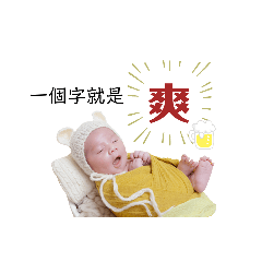 元寶的日常對話