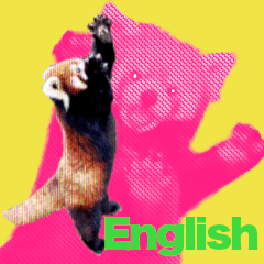 レッサーパンダが英語であなたを癒します！