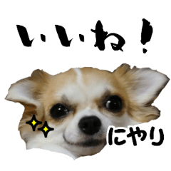 Rin Sticker