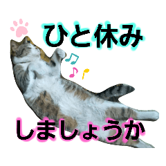 nanami_20201115231230