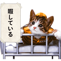 なめ猫3 ～マジでなめんなよ～