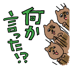 Nyunyutto QuokkaWallaby