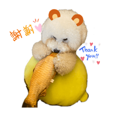 Love Bei
