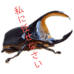 yoshinobu_20201116123916