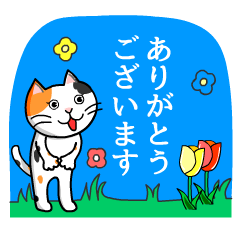 NUNYO CAT HONORIFIC-K