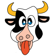 Dairy cow cow