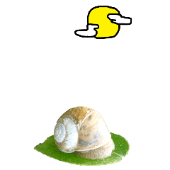 Doodle on snails2-BIG