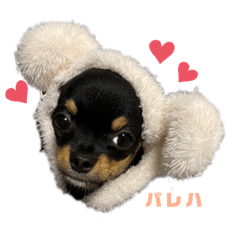 Yun_20201116000921