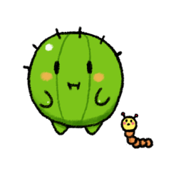 a chubby cactuses