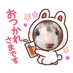 HIKARI_20201116192856