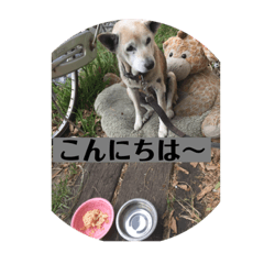 hANA_20201116202556
