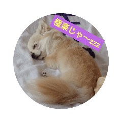 KEN_20201116213540