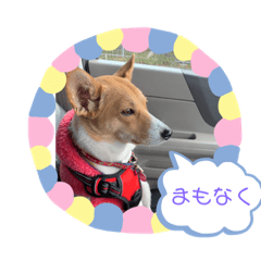 tomomi_20201117002350