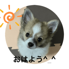 hana_20201116224438